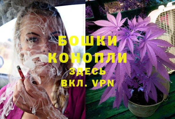 молекула духа Калининец