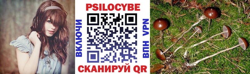 гидра рабочий сайт  закладка  Дорогобуж  Галлюциногенные грибы мицелий 
